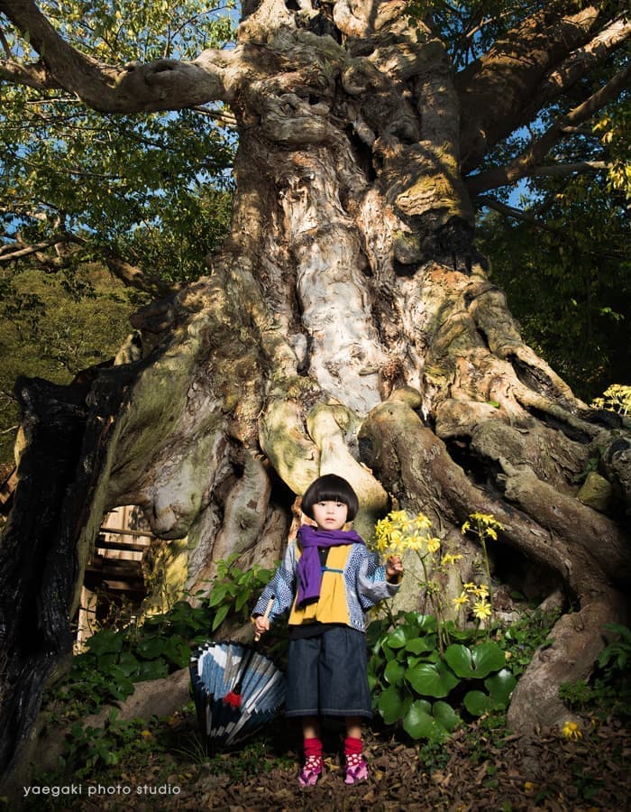 出雲の國の童神作品