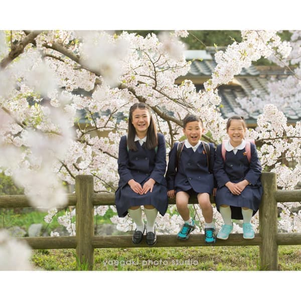 卒業入学サンプル