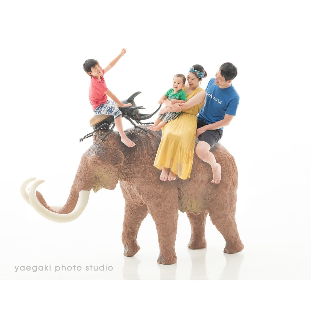 リトルアートフォトサンプル