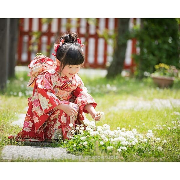 七五三サンプル